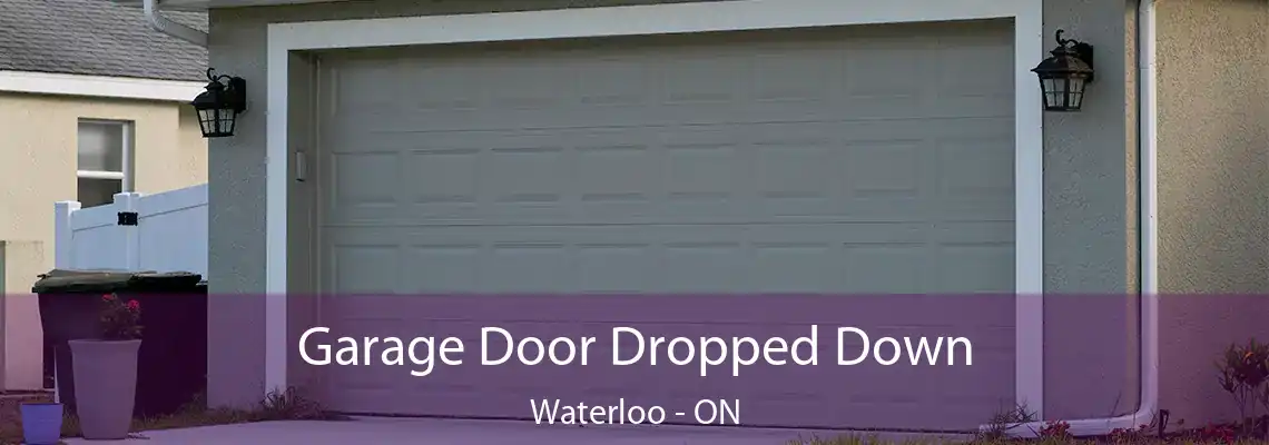  Garage Door Dropped Down Waterloo - ON