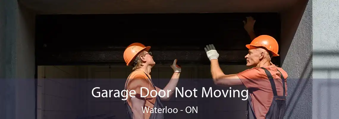 Garage Door Not Moving Waterloo - ON