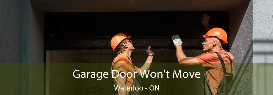 Garage Door Won't Move Waterloo - ON